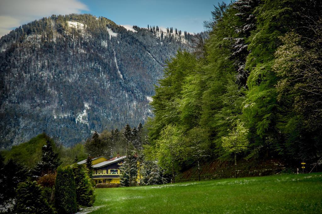 Hotel Garni Zeranka Ruhpolding Dış mekan fotoğraf